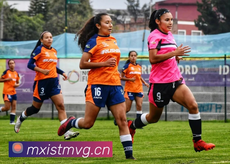 华体网首页官网平台生态图